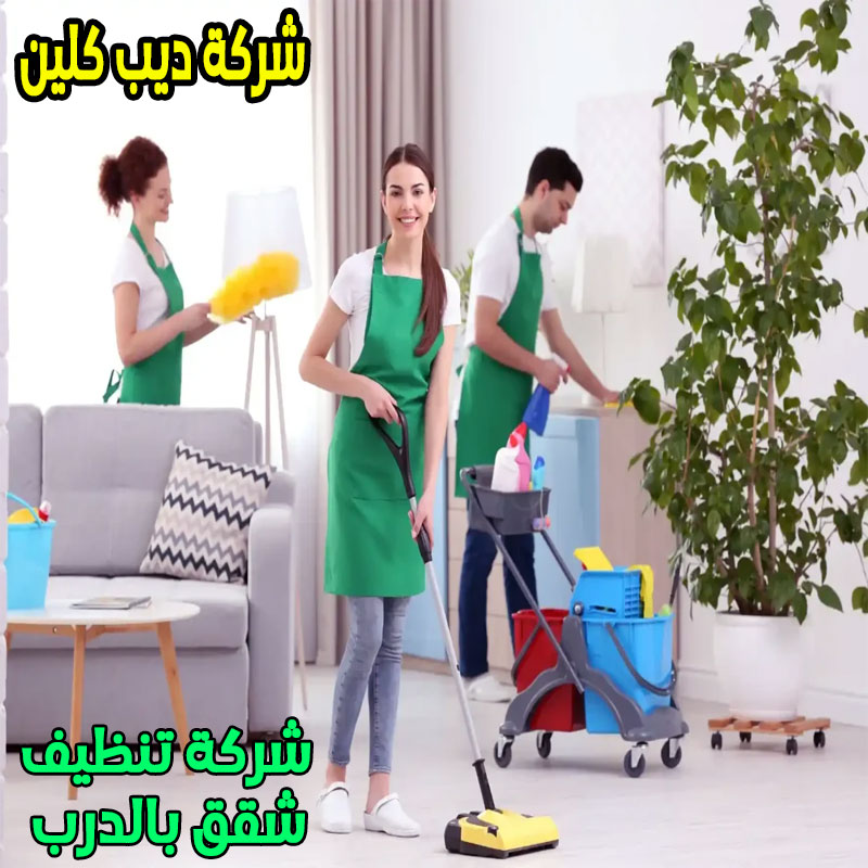 شركة تنظيف الشقق بالدرب