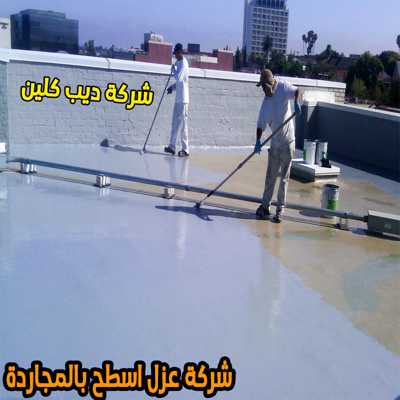 شركة عزل الاسطح بالمجاردة