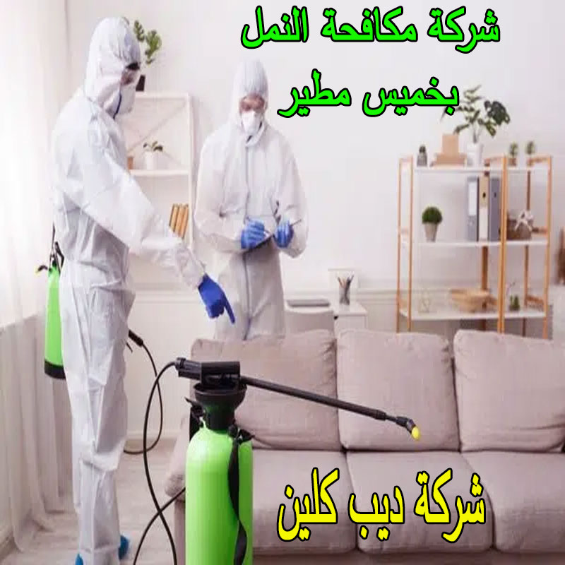 شركة مكافحة النمل بخميس مطير