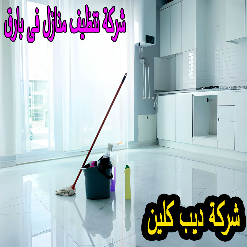 شركة تنظيف المنازل فى بارق