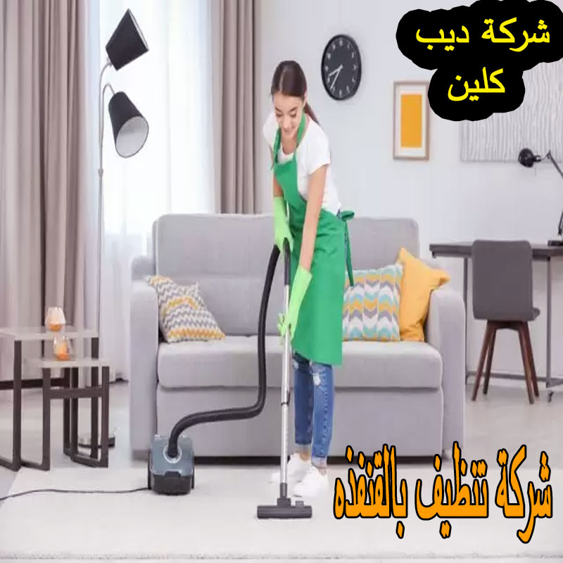 شركة تنظيف بالقنفذه