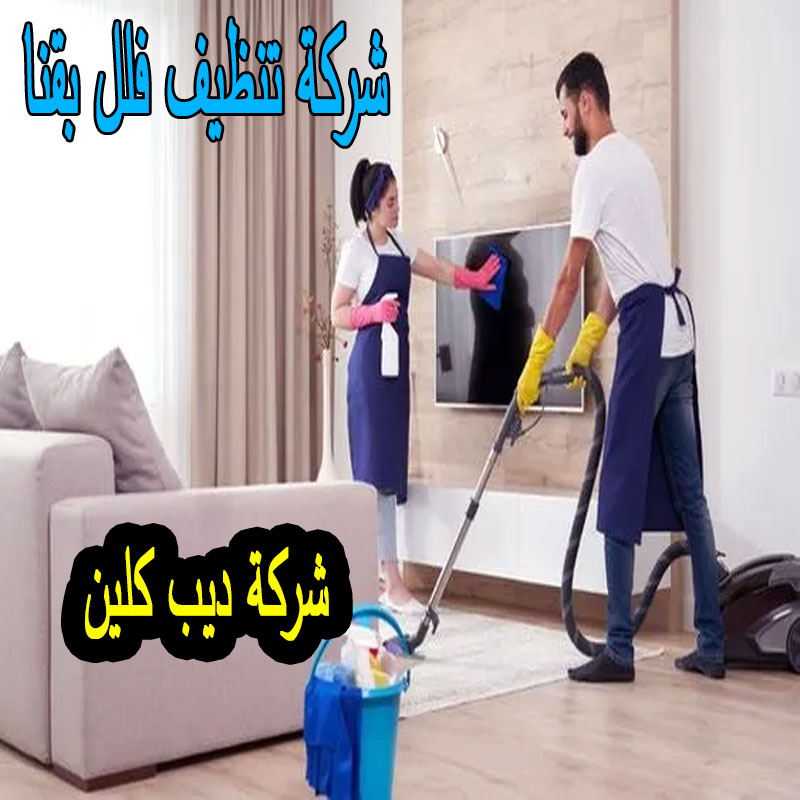 شركة تنظيف فلل بقنا