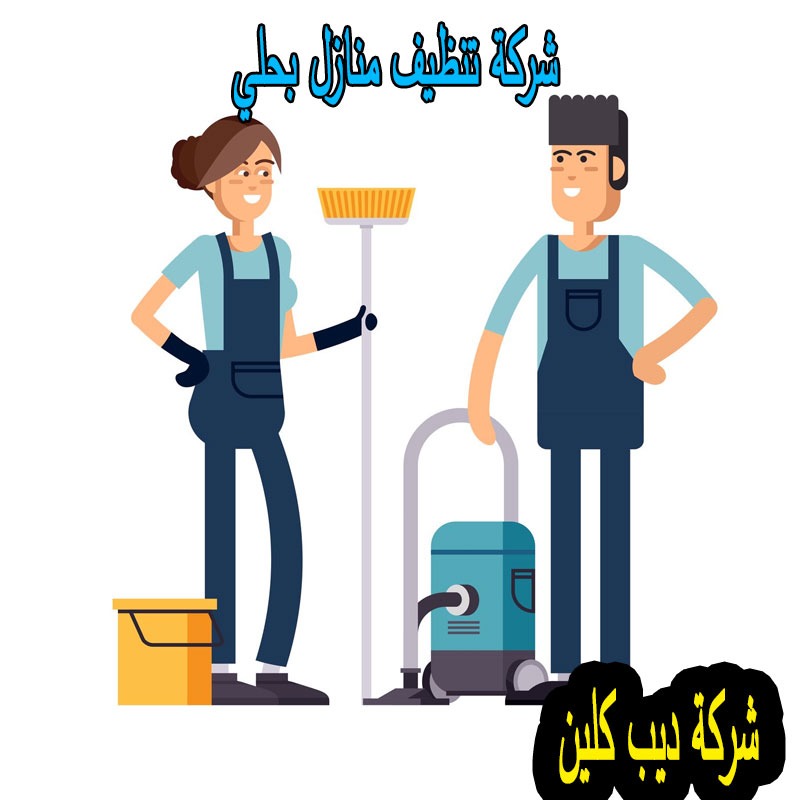 شركة تنظيف المنازل بحلي