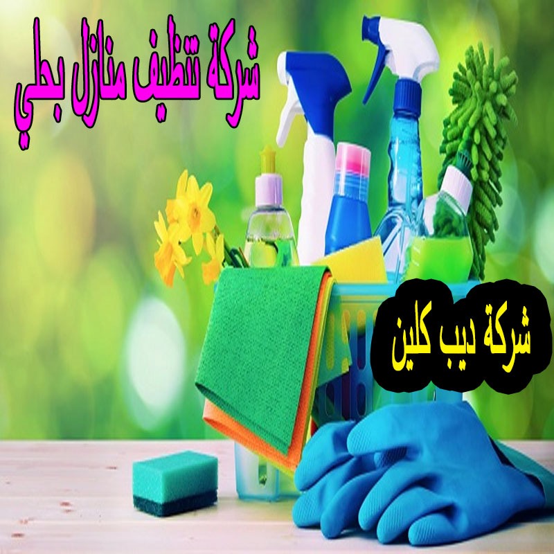 شركة تنظيف المنازل فى حلي