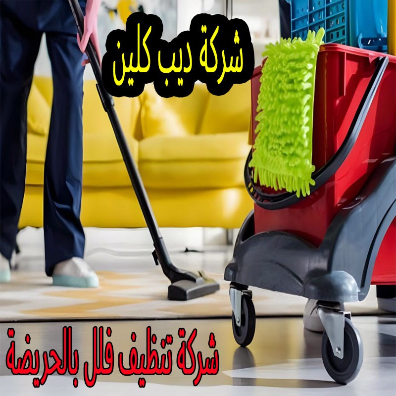 شركة تنظيف فلل بالحريضة