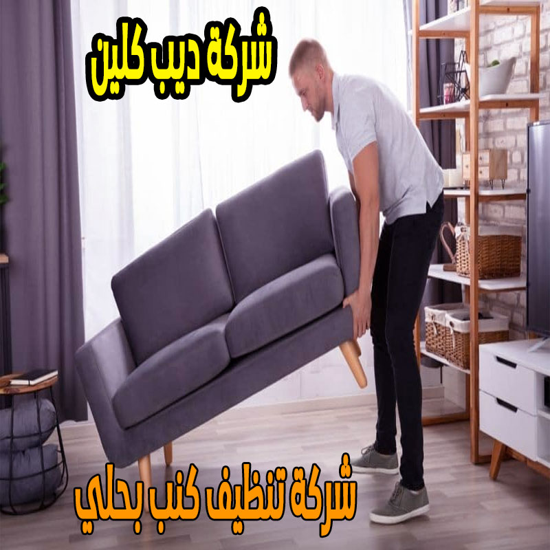 شركة تنظيف كنب بحلي