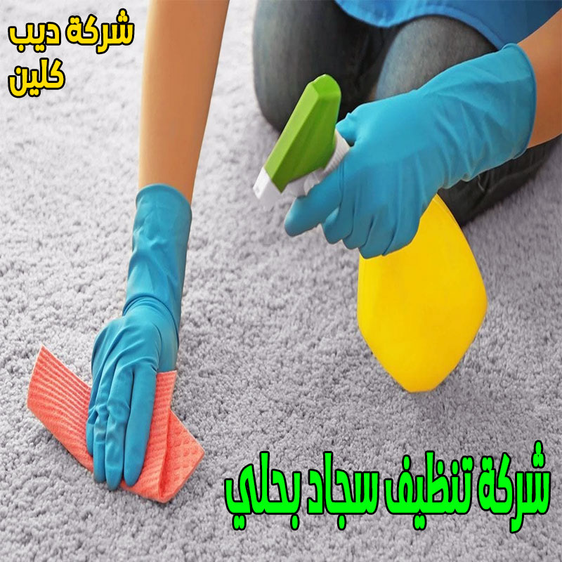 شركة تنظيف سجاد بحلي