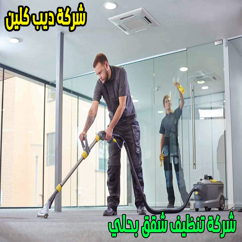 شركة تنظيف شقق بحلي