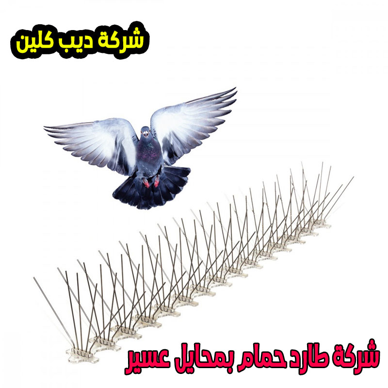 شركة طارد حمام بمحايل عسير