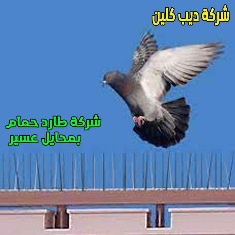 شركة طارد حمام بمحايل عسير