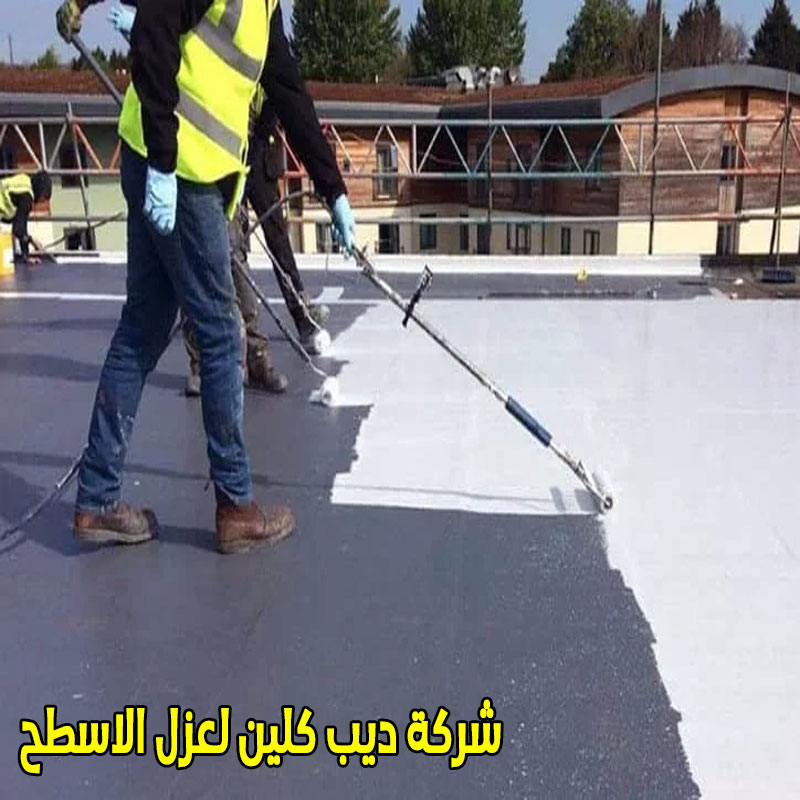 شركة عزل اسطح بثلوث المنظر