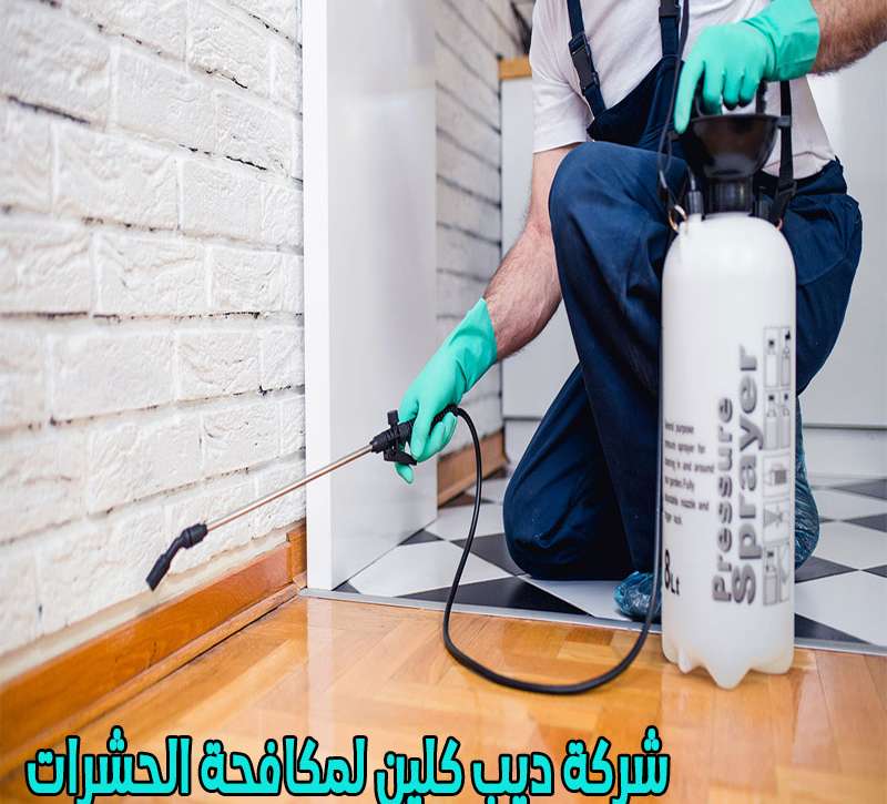 شركة مكافحة الحشرات بنمرة