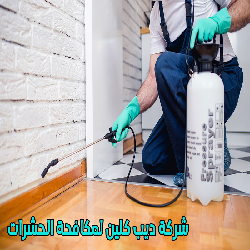 شركة مكافحة الحشرات بنمرة