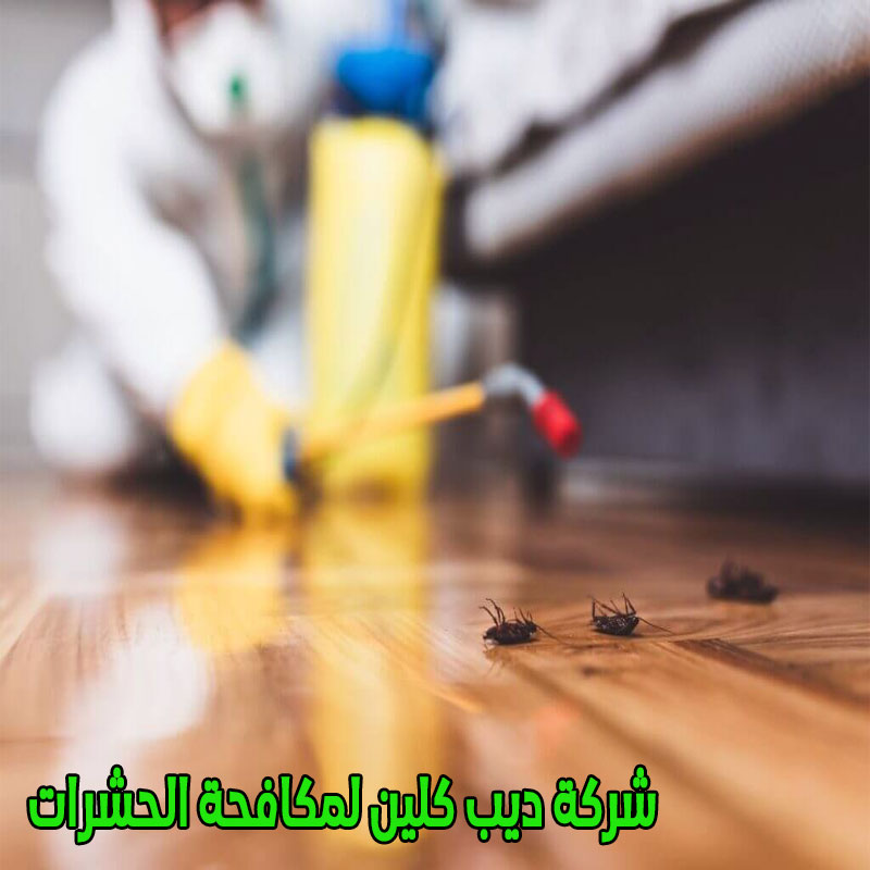 شركة مكافحة الحشرات بنمرة